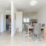 Casa Hana