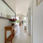 Casa Hana